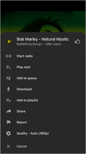 Download YouTube Music via Premium